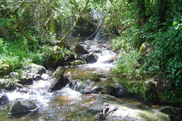 Monchique Passeios Na Serra